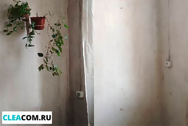 плесень на стене в углу