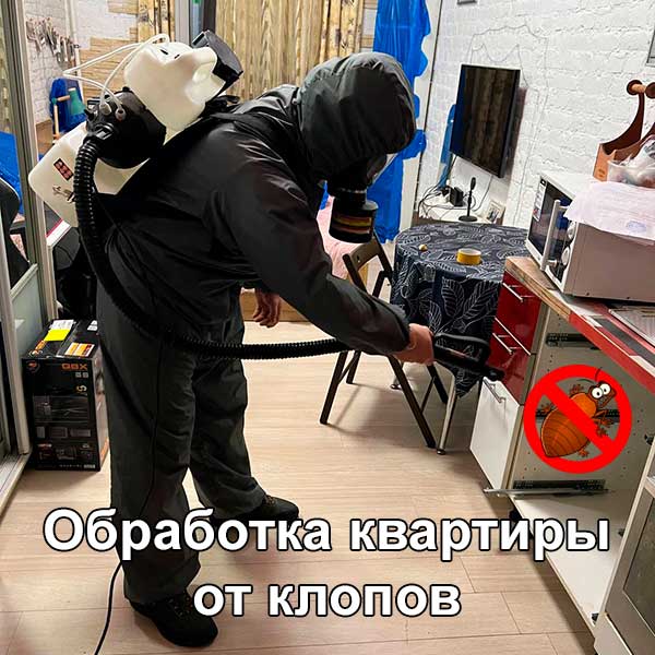 Уничтожение клопов