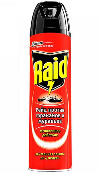 raid